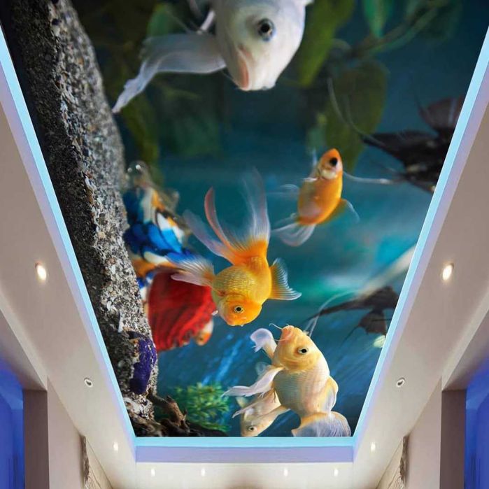 Natyajnoy Patalok O‘rnatish — Bepul O‘lchov | Barcha Turlar Bor