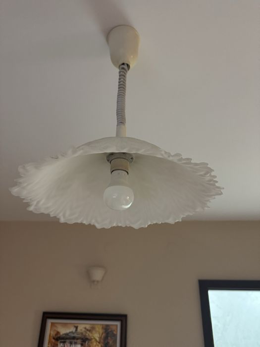 Лампи- абажури 2 бр с крушките, общо за 14.99