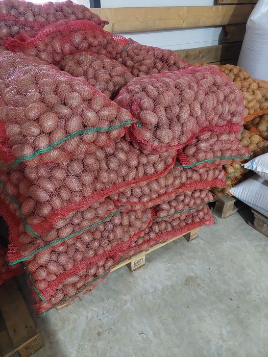 Vând cartofi pentru sămânța sau animale