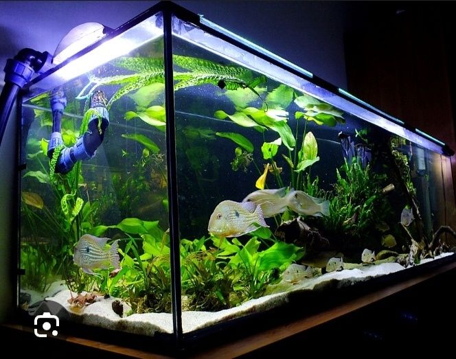 Акварим ясаш ремонт хизмати.