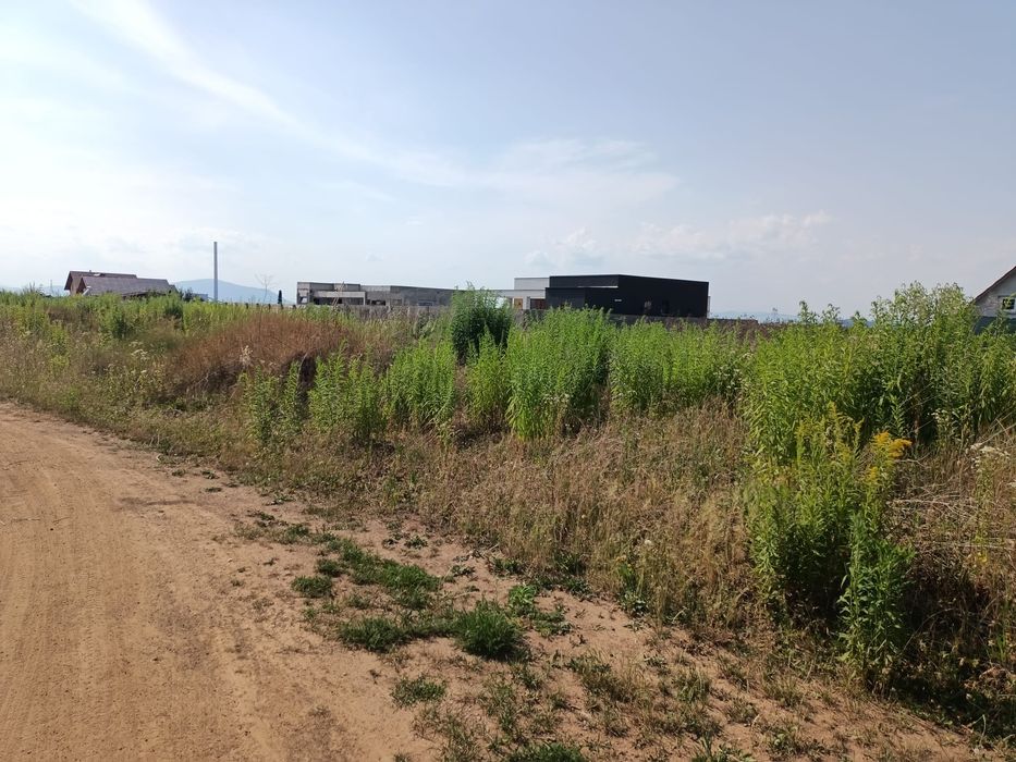 Teren 500 mp cartier raza soarelui intrare izvor