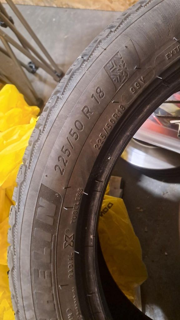 Michelin Pilot Alpin5 225/50/18