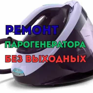 Ремонт парогенераторов с БЕСПЛАТНОЙ диагностикой на дому. Гарантия!!