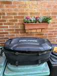 Cutie Polaris Ogio