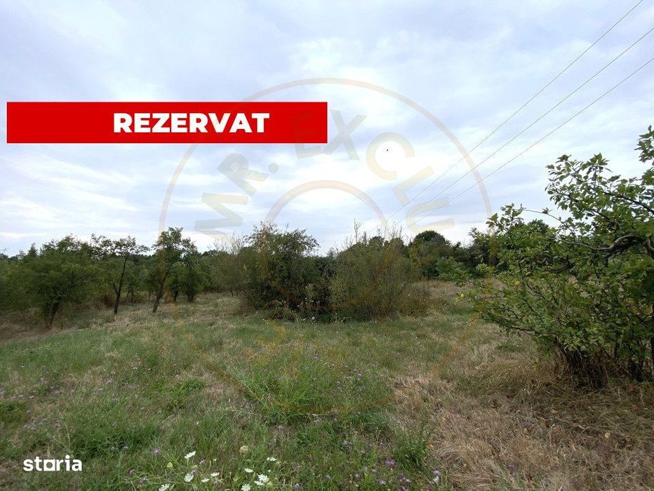 Teren intravilan 1.765 mp in Poiana Lacului, AG