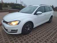 Vw Golf 7 BlueTDI   Euro 6