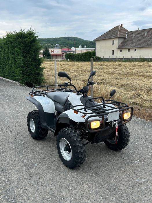 Linhai Explorer 300 2x4 (nu cf moto tgb shineray )