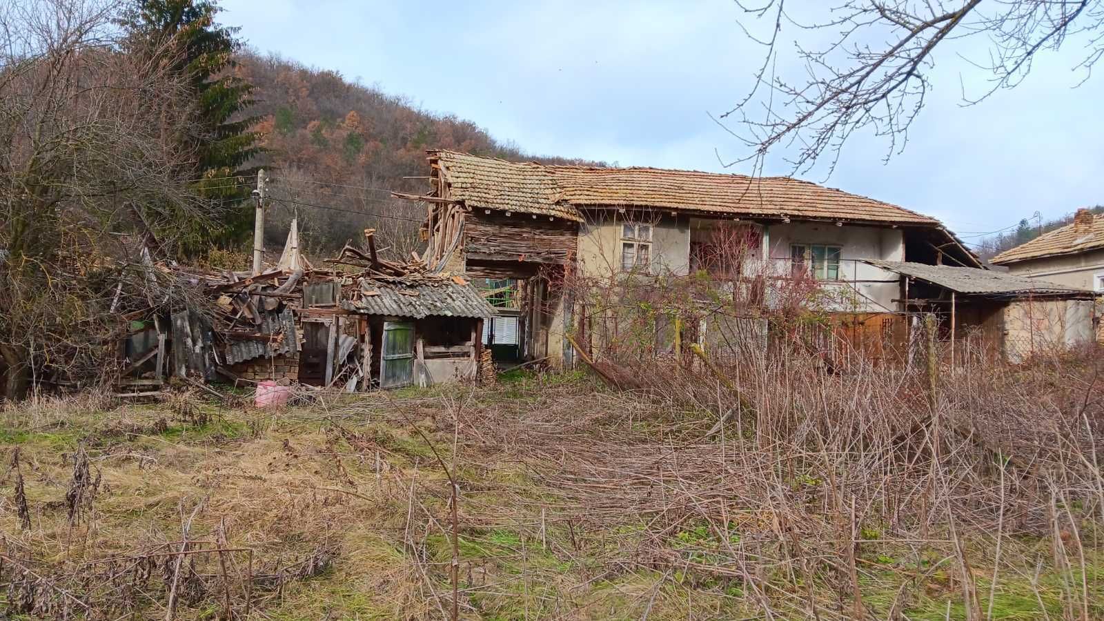 Къща с голям двор, орехова градина