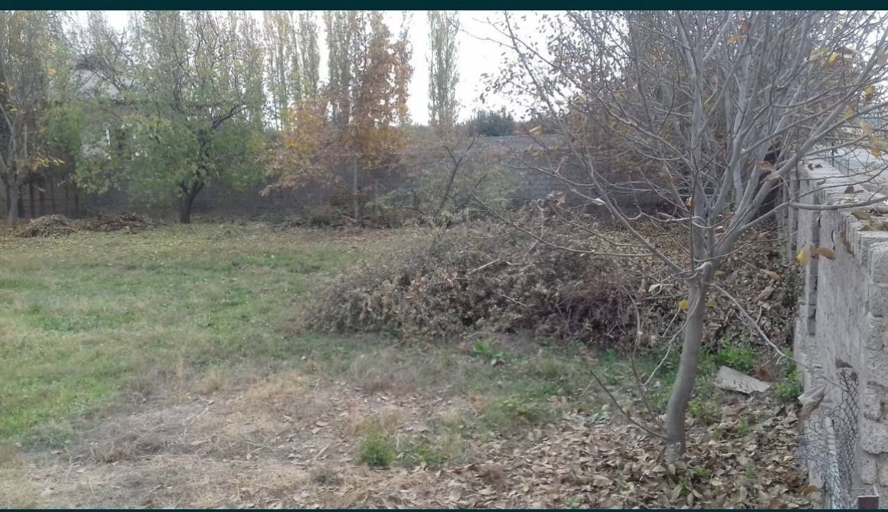 Srochna 6 sotxli yer xovli sotiladi kadastri bor