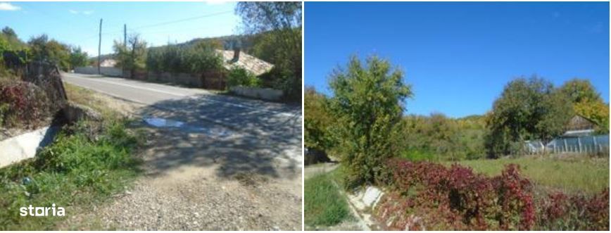 Teren Brosteni ID: R1750695