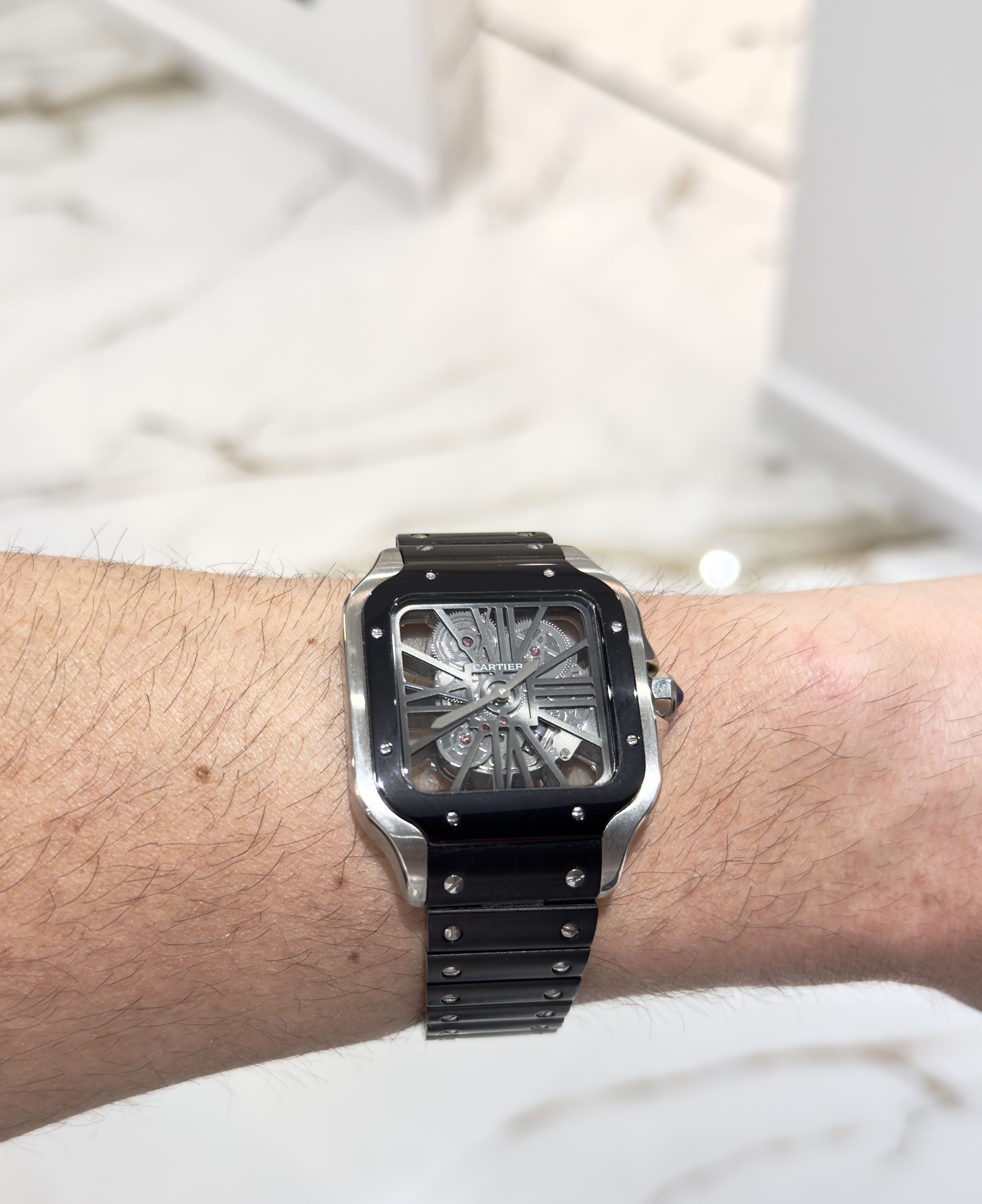 Cartier Skeleton Silver - Black