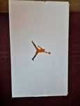 Jordan DJ6245-607- - COPII Marime 38