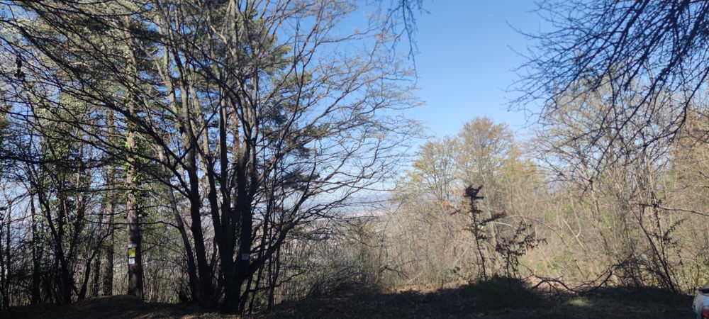 Продава се Парцел в София, Бояна - 18000 кв.м за 5 €/кв.м - Снимка #12