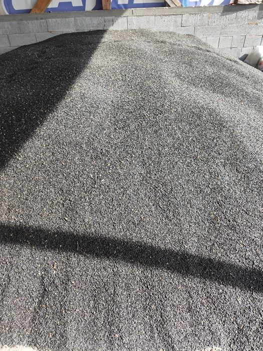 Vând floarea soarelui