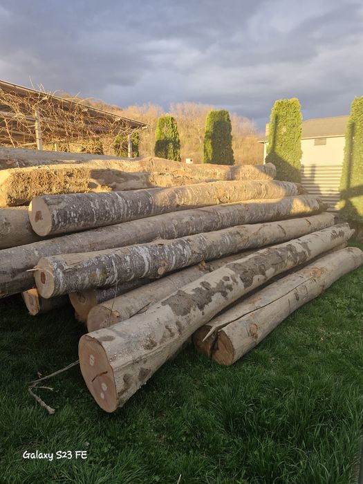 Lemn foc fag bustean