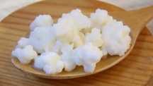 Ciuperca kefir tibetan