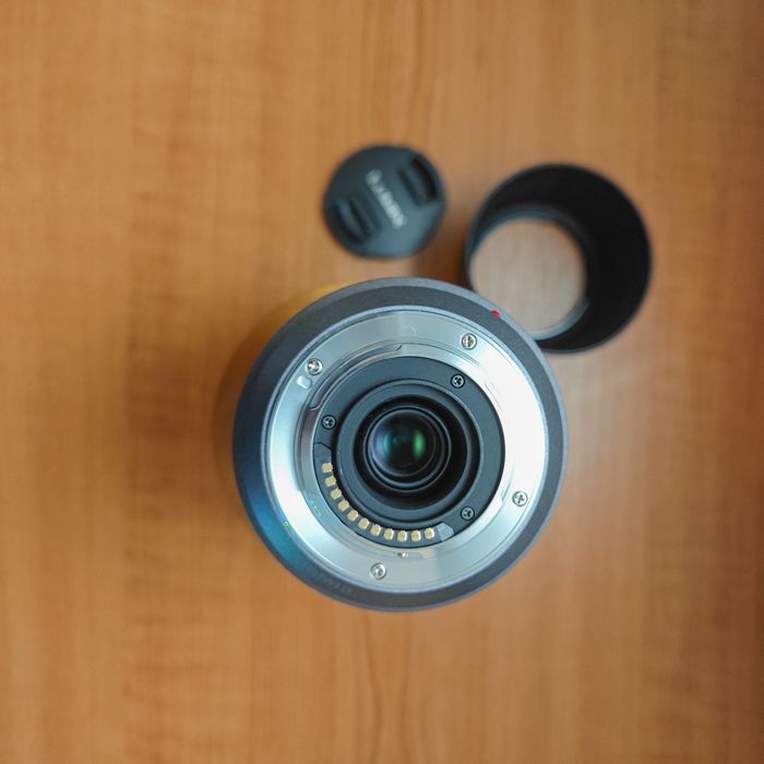 Panasonic Lumix G Vario 45-200mm f/4-5.6 OIS – MFT (Mk I)
Obiectiv în