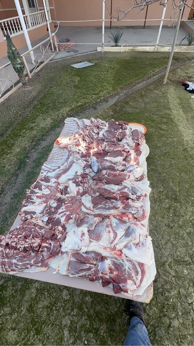 Qoy bor qassob hizmati