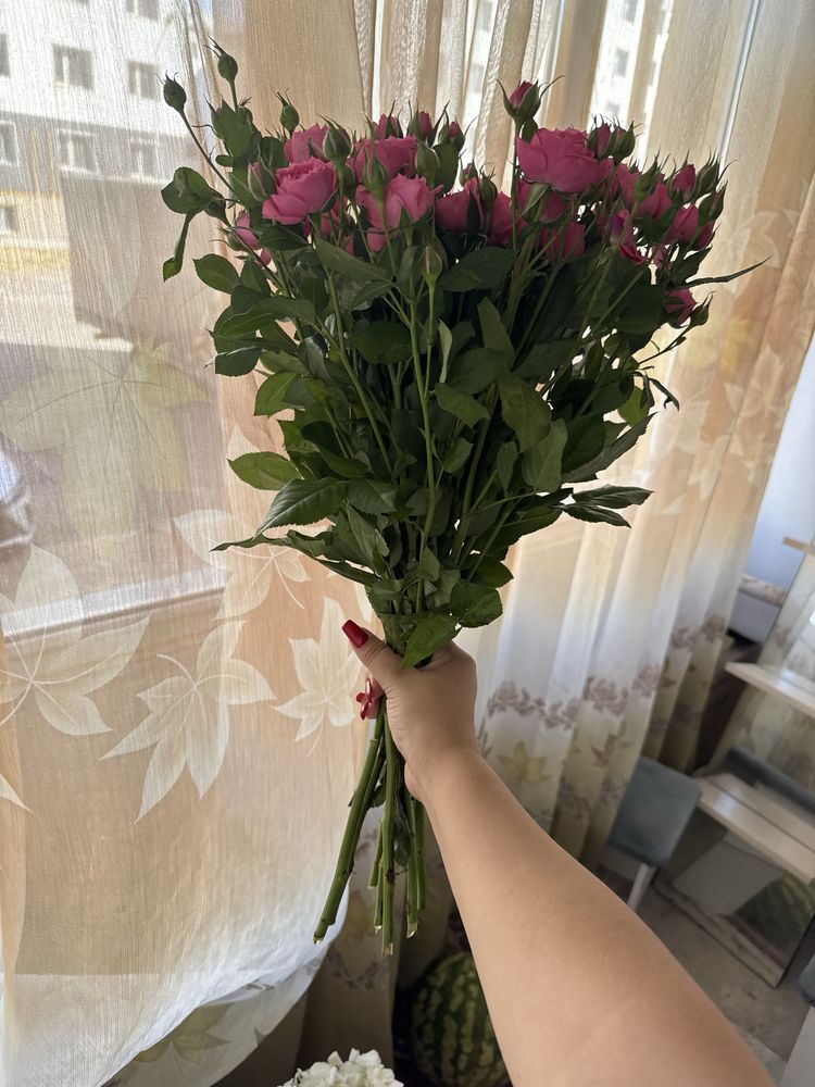 Кустовые розы по хорошей цене
