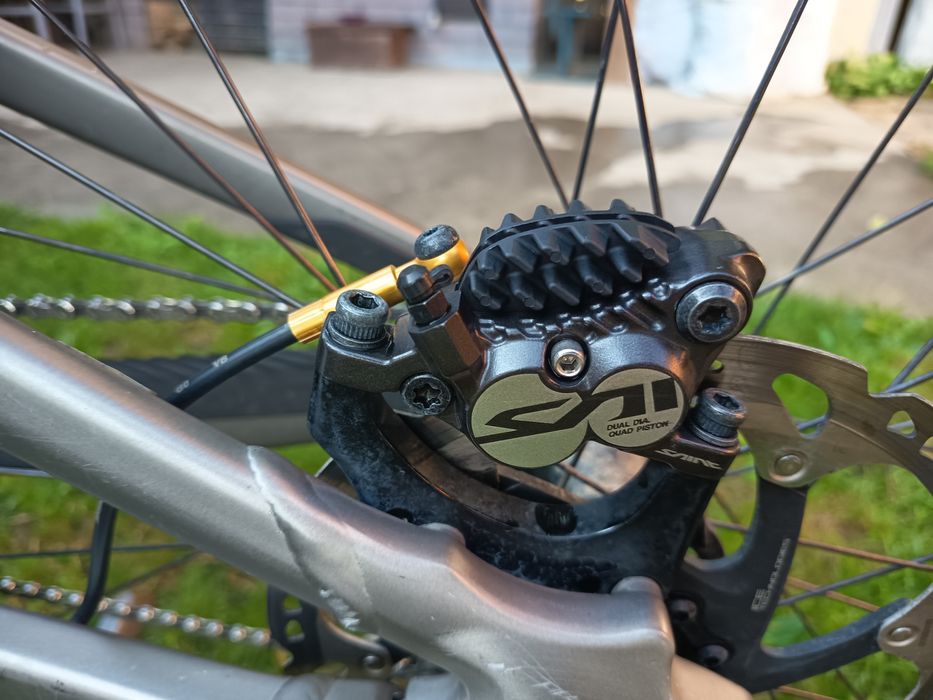 Schott gambler dowhil