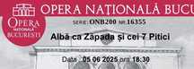 bilet balet alba ca zapada