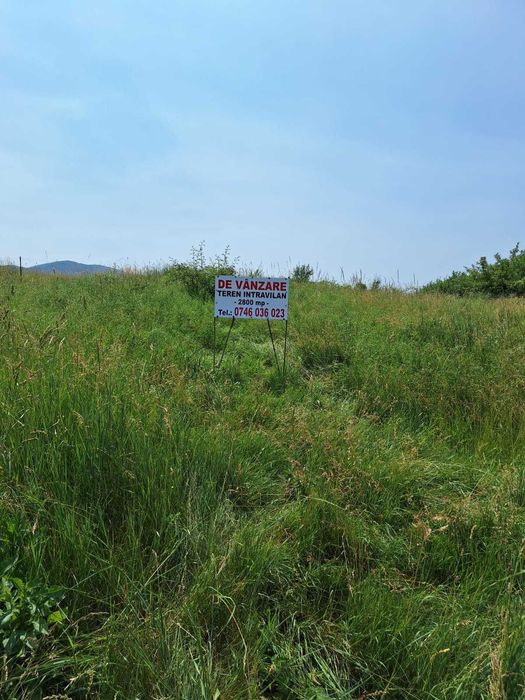 De vânzare teren intravilan 2800 mp - Zalău