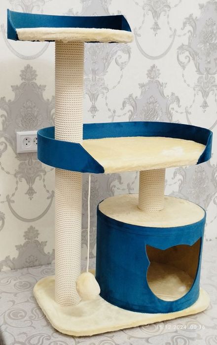 Кашачи доммики сотилади