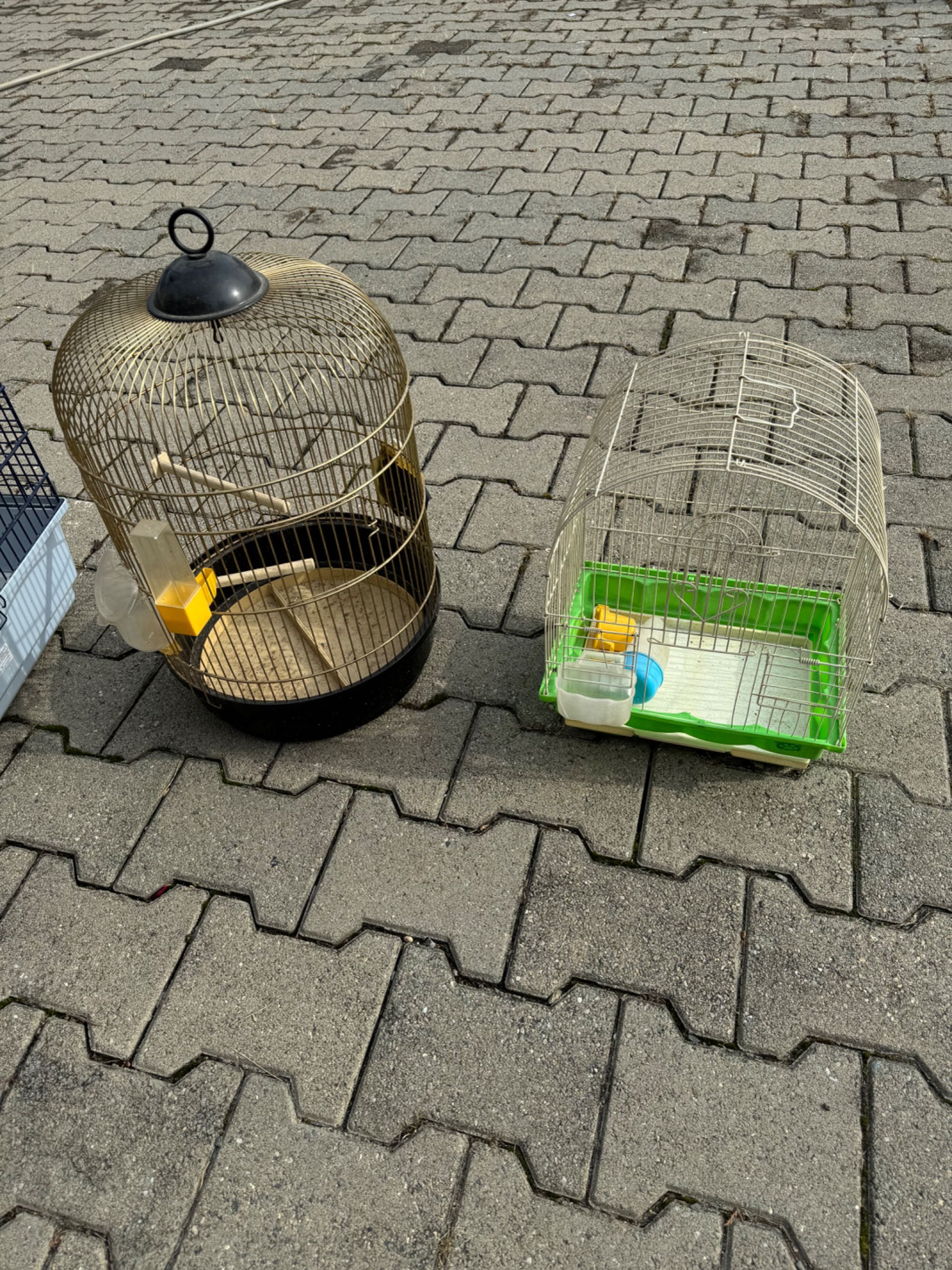 Colivii păsări și hamsteri