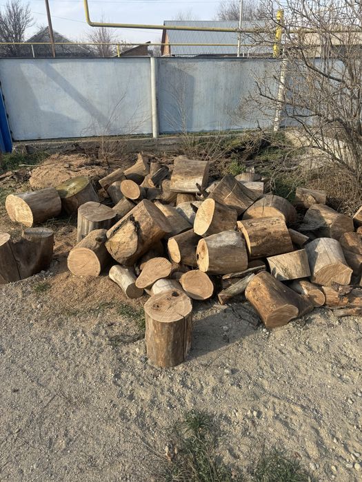 Дрова карагаш