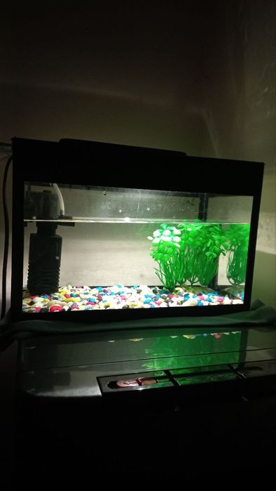 akvarium sotiladi