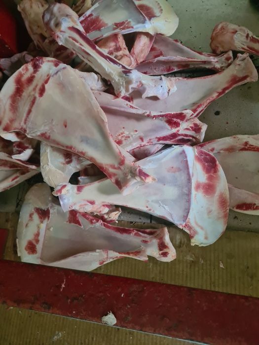 Говяжьи кости. Бесплатно