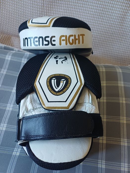 Лапы для занятия единоборств