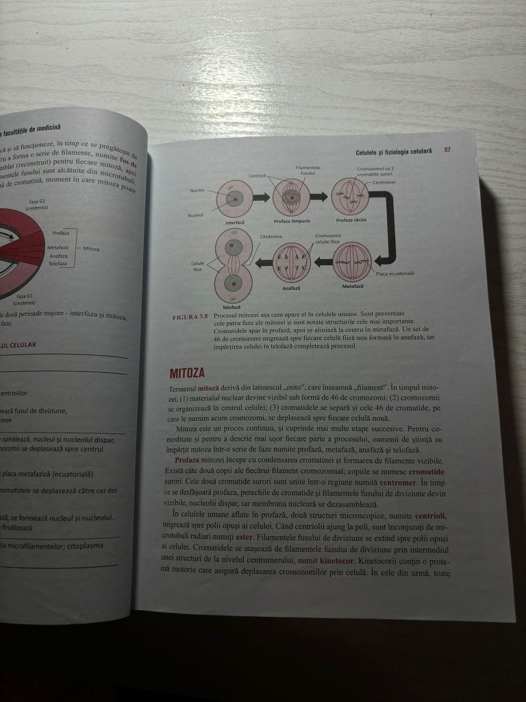 Barron's Anatomie si Fiziologie Umana