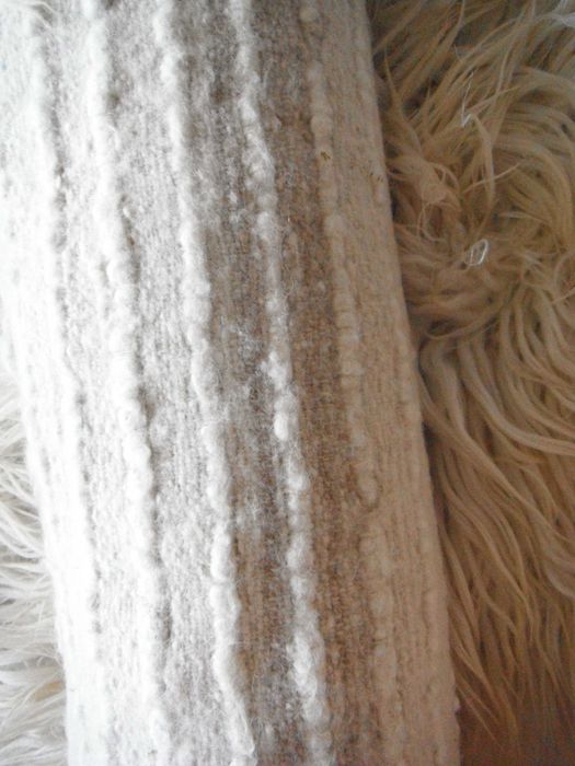 Китеници с дълъг косъм