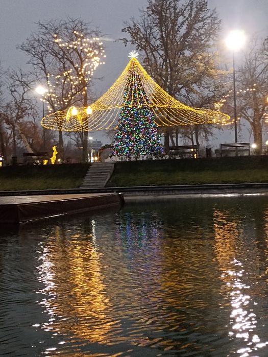 Ёлка , Арча ойинчоклар ва гирляндалар  5м до 30 м гачам нархлари келиш