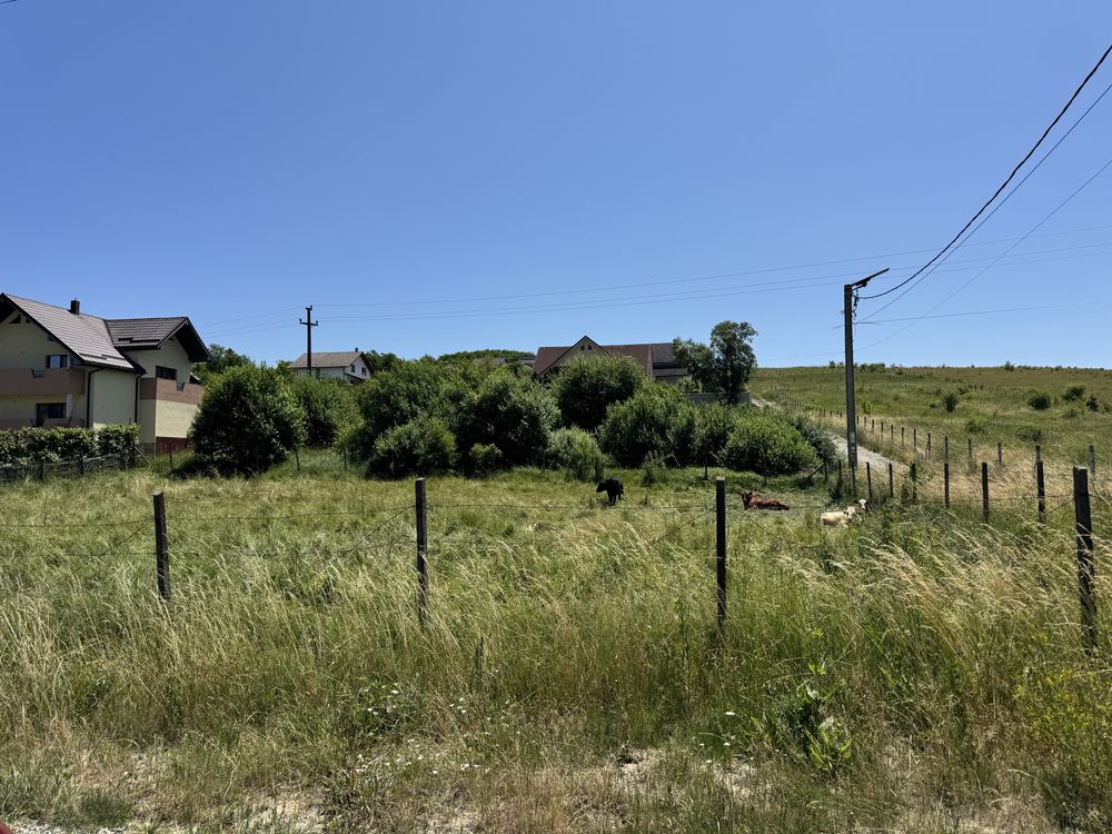 Parcela teren Bistrita