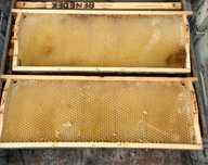 Vand rame cladite stas 1/2 ,140 bucati