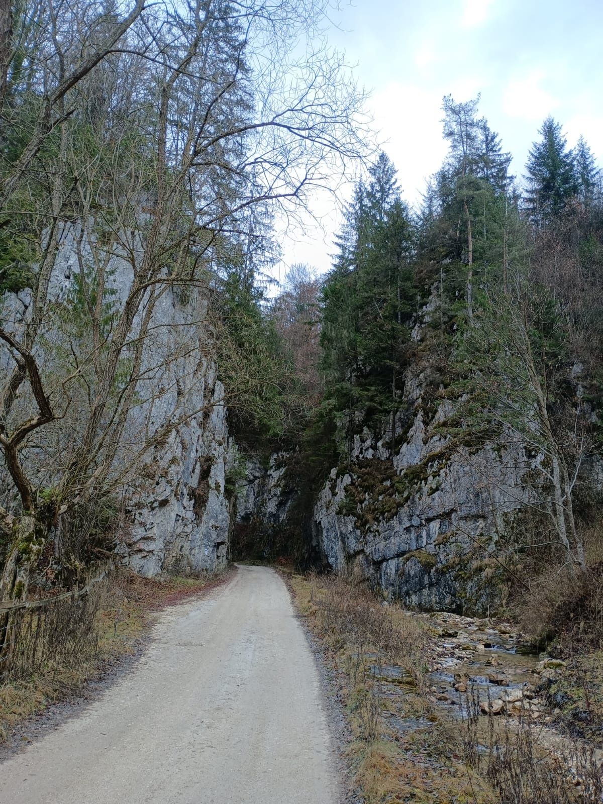 Teren la munte Ciocanu-Pestera-Bran