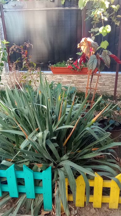 Cazare muncitori cu utilitati incluse