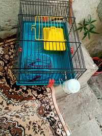 Cușcă hamster folosită puțin timp cu accesorii