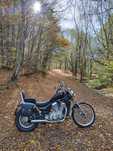 Suzuki VS800 Intruder
