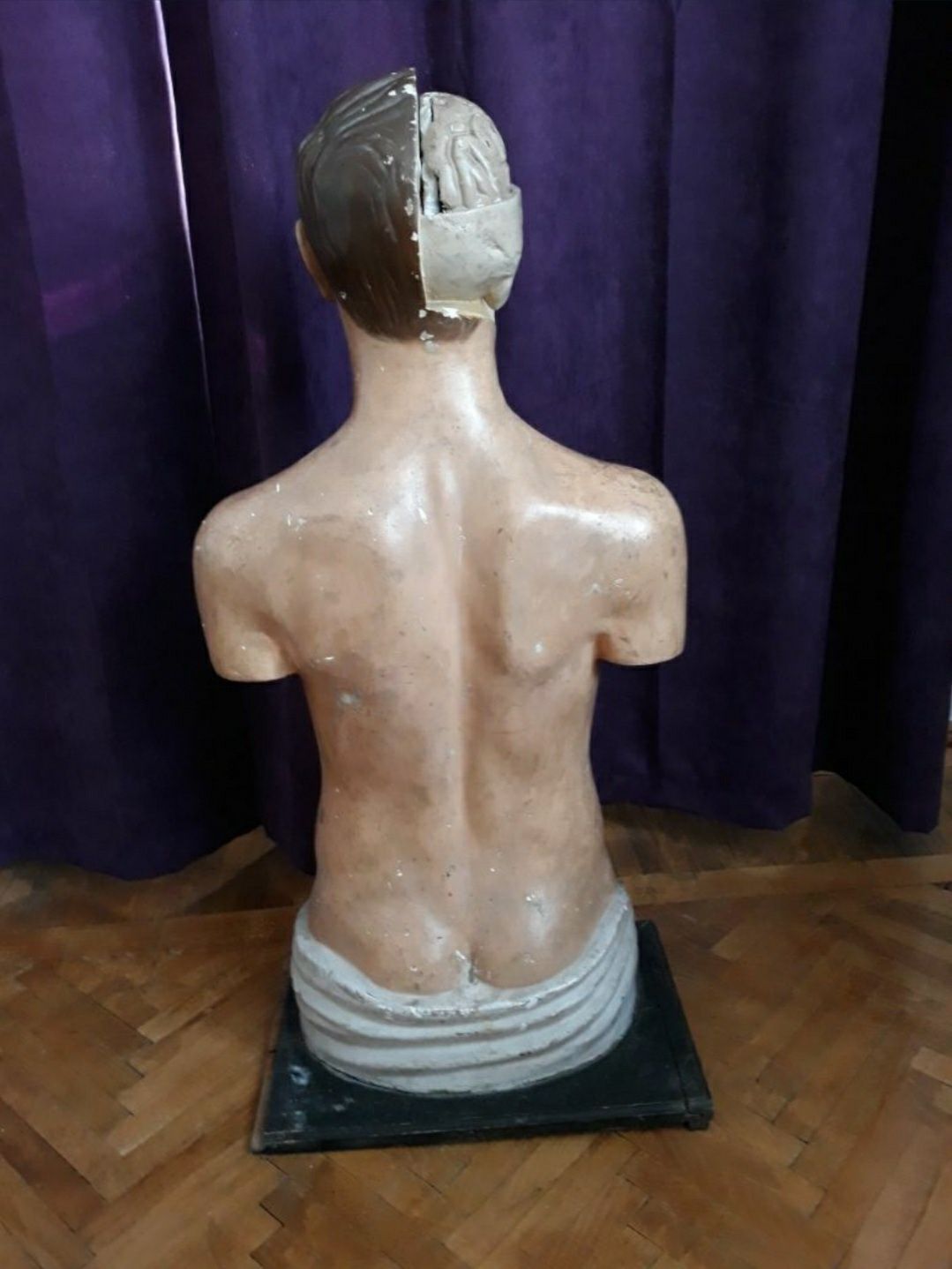 Bust anatomic vechi, de la începutul secolului trecut