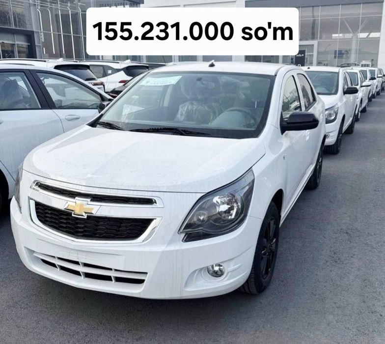 **Cobalt midnight 2025 salon narxida