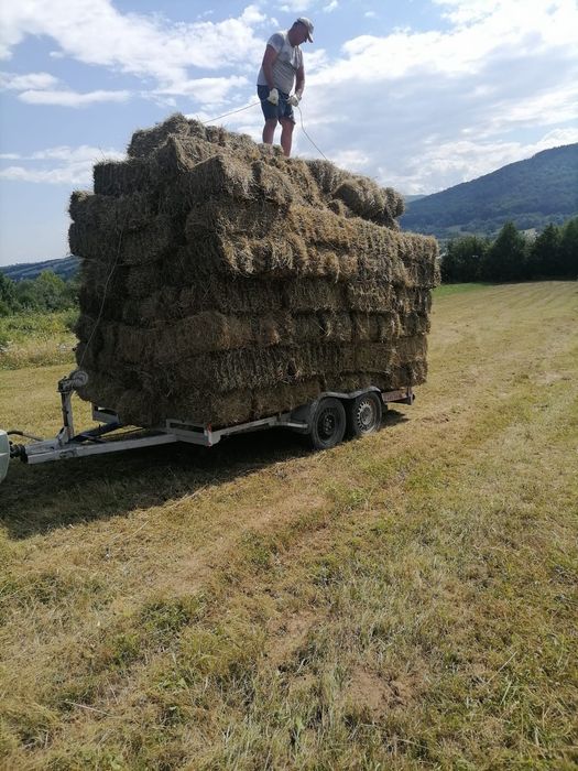 Vând baloti fan, lucernă,otava
