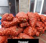 Продам картошку мешок 50 кг с доставкой до подъезда