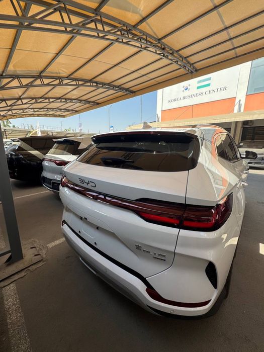 Byd champion smart 2025 yil 605 km