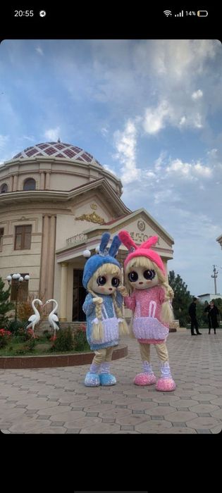 Ayiqlar sotiladi | Ayiq sotiladi