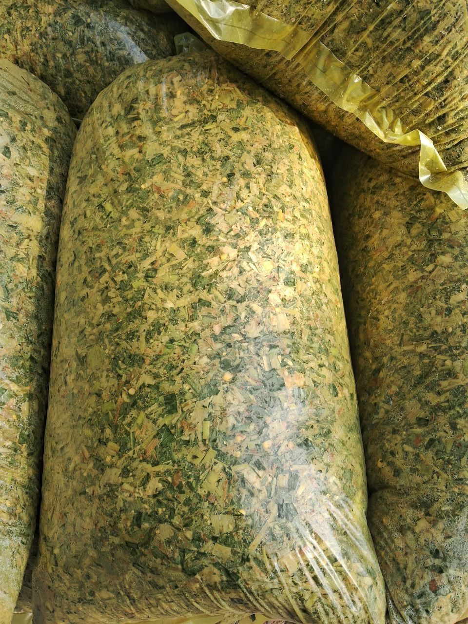 Silos sotiladi qoplangan