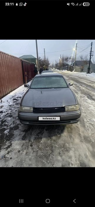 Продам чистого японца