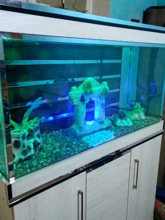 Большой аквариум